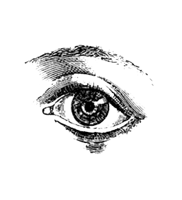 McKenna Photography: Toronto, Ontario, Canada